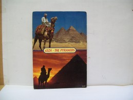 Le Piramidi "Giza" (Egitto) - Gizeh