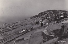 Suisse - Chexbres - Panorama 1966 - Chexbres