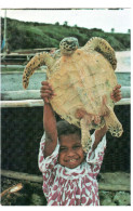 CPSM TORTUE RETOUR DE PECHE A LA TORTUE SUR LA PLAGE DE SAINT MAURICE  NOUVELLE CALEDONIE - Turtles