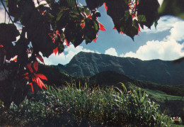 LA REUNION LES HAUTS DE L'ILE - Reunion