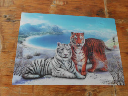 3D Postcards    Tigers Big Format - Tigers