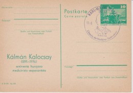 Germany - East Germany - Postal Stationery - Berlin City Hall - Special Cancellation - Kalman Kalocsay - Esperanto - Cartes Postales - Neuves