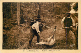 44 - LOIRE ATLANTIQUE - Le Gâvre - Forêt - Biche Tuée Au Fusil - Chasse - Le Gavre