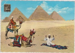 AFRIQUE,AFRICA,AFRIKA,égypte,EGYPT,pyramide,GYZA,chameau,priere - Other & Unclassified
