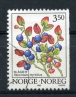 Norvege, Norway, Norge, 1995, Blossoms, Berries, Used, Michel 1175 - Gebraucht