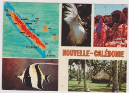 Nouvelle Calédonie,nouméa,archipel D´océanie,océan Pacifique,prés De L´australie Et Nouvelle Zélande,il Y A 50 Ans - Nouvelle-Calédonie