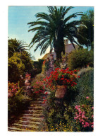Rayol: Escalier Fleuri, Geraniums, Palmier, Jarre (16-1485) - Rayol-Canadel-sur-Mer
