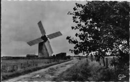 CPSM Moulin à Vent Non Circulé Ile De Noirmoutier Vendée - Windmühlen
