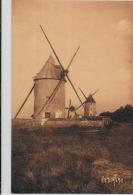 CPA Moulin à Vent écrite Ile De Noirmoutier - Windmills