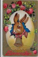 CPA Carte Ancienne Lapin Bunny Rabbit Fantaisie écrite Paques Gaufré - Otros & Sin Clasificación