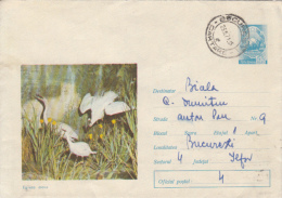 BIRDS, GREAT EGRET, COVER STATIONERY, ENTIER POSTAL, 1971, ROMANIA - Pelícanos