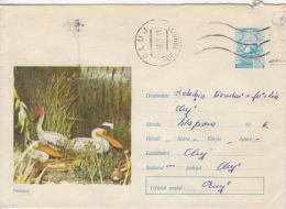 BIRDS, PELICANS, COVER STATIONERY, ENTIER POSTAL, 1971, ROMANIA - Pélicans