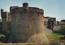 66----SALSES---le Château Fort De Salses.......----voir 2 Scans - Salses