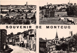 46-MONTCUQ- MULTIVUE - Montcuq