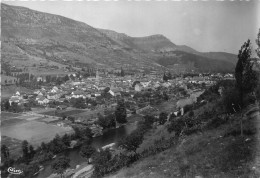 48-FLORAC- VRAIE PORTE DES GORGES DU TARN VUE GENERALE - Autres & Non Classés