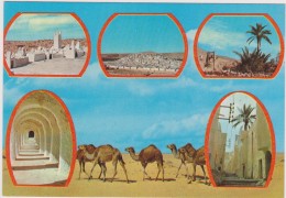AFRIQUE DU NORD,ALGERIE,ALGERIA,MAGHREB,GHARDAIA,CARAVANE - Ghardaia