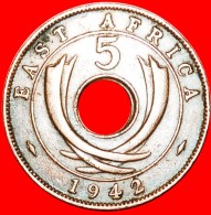 • GREAT BRITAIN HOLE: EAST AFRICA ★ 5 CENTS 1942!  LOW START ★ NO RESERVE! WWII (1939-1945) George VI (1937-1952) - Britse Kolonie