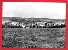 Arville (Saint-Hubert). Panorama Du Village Avec L'église Saint-Paul. Pub Hôtel Au Marcassin D'Arville - Saint-Hubert