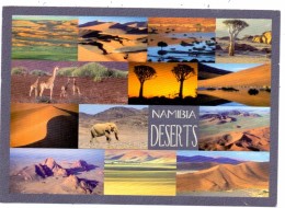 NAMIBIA, Deserts - Namibia