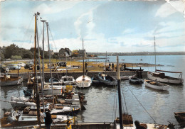 50-CARTERET- LE PETIT PORT ET LE HÄVRE VERS BARNEVILLE - Carteret