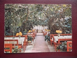 GERMANY / LORCH / WALDKAFFEE MUCKENSEE / WINTERGARTEN / 1973 - Lorch