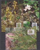 Greenland 1996 Flowers 3v 3 Maxicards (31025) - Cartes-Maximum (CM)