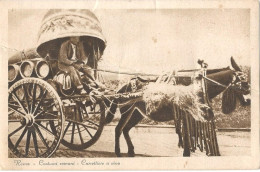 27- ROMA- Costumi Romani - Carrettiere A Vino - Transportmiddelen