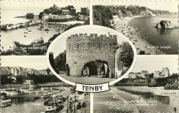 REGNO UNITO  WALES  PEMBROKESHIRE  TENBY  Multiview - Pembrokeshire