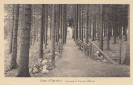 CPA - Le Camp D´Elsenborn - Sous Bois Au Parc Des Officiers - Elsenborn (camp)