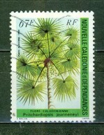 Arbre - NOUVELLE CALEDONIE - Flore Calédonienne - N° 239 - 1984 - Gebraucht