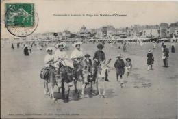 CPA Vendée Circulé Sables D´Olonne Ane Donkey - Sables D'Olonne