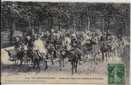 CPA Vendée Circulé Sables D´Olonne Ane Donkey - Sables D'Olonne