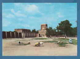 214952 / Kano - PALACE DEL EMIR , Shepherd And Sheep , Nigeria - Niger