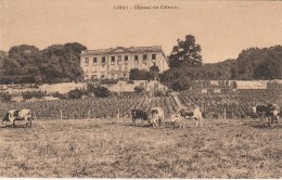 78 - LIMAY - Château Des Célestins - Limay
