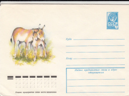 45274- KHULAN, DONKEY, COVER STATIONERY, 1978, RUSSIA-USSR - Donkeys