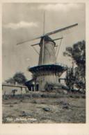 PAYS-BAS - SLUIS - Holland «Molen» (1955) - Sluis