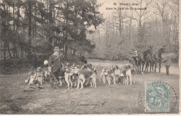 78 - SAINT ARNOULT - Rendez-vous Dans La Forêt De St Arnoult - St. Arnoult En Yvelines