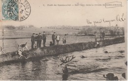 78 - SAINT ARNOULT - Forêt De Rambouillet - Bat L'eau Dans La Rivière De Saint Arnoult - St. Arnoult En Yvelines