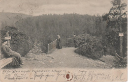 AK Gruss Aus Der Vogtländische Schweiz Loreley Triebtal Vogtland Bei Plauen Zwickau Auerbach Bahnpost Gera Weischlitz - Pöhl