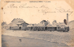 80-CAYEUX-SUR-MER - LA GARE - Cayeux Sur Mer