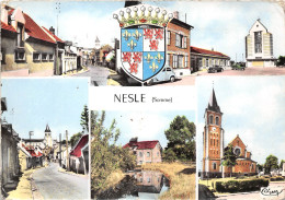 80-NESLE- MULTIVUE - Nesle