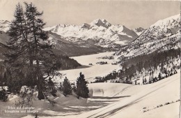 Suisse -  Silvaplana Und Margna - Panorama 1950 - Silvaplana