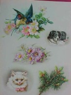 CHROMO XIX ° CHAT BLANC OISEAUX CHIENS , FLEURS , Old , WHITE CAT , DOGS  FLOWERS KATZE  Recto Verso  Prix Fixe - Tiere