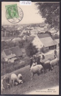 Boncourt (Suisse), Brebis Sur La Pente, Maisons Et Ligne De Chemin De Fer En 1908 (13´882) - Boncourt