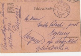 45509- WARFIELD POSTCARD, CENSORED INFANTRY BATTALION NR 1/63, PO 223, WW1, 1917, HUNGARY - Cartas & Documentos