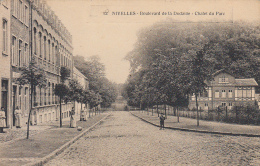 Nivelles - Boulevard De La Dodaine - Chalet Du Parc (café, Animée, Saia) - Nivelles