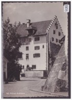 GRÖSSE 10x15 Cm - SCHLOSS GREIFENSEE - TB - Greifensee