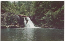 Abram's Falls In Great Smoky Mountains National Park, Unused Postcard [18073] - USA National Parks