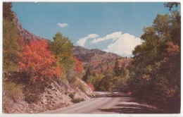 Big Cottonwood Canyon, Utah, Unused Postcard [18091] - Sonstige & Ohne Zuordnung