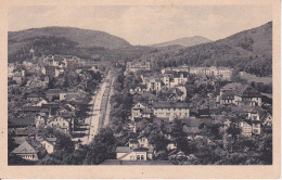 AK Bad Wildungen - Blick Auf Brunnenallee, Badehotel, Und Hotel Fürstenhof - 1944 (23738) - Bad Wildungen